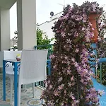 Borgo