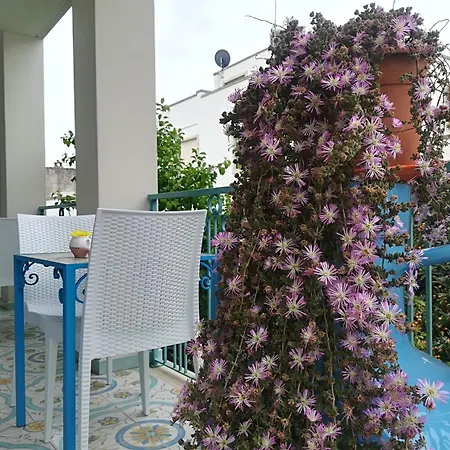Borgo