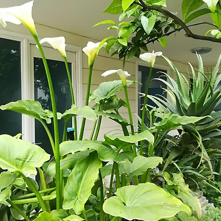 Borgo B&B 오트란토
